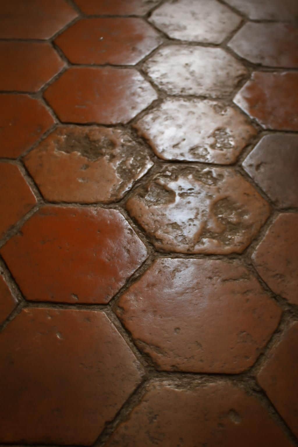 découvrez comment redonner de l'éclat à vos tomettes anciennes avec un vernis, et les défis rencontrés lorsque l'humidité du premier hiver altère leur couleur en profondeur.