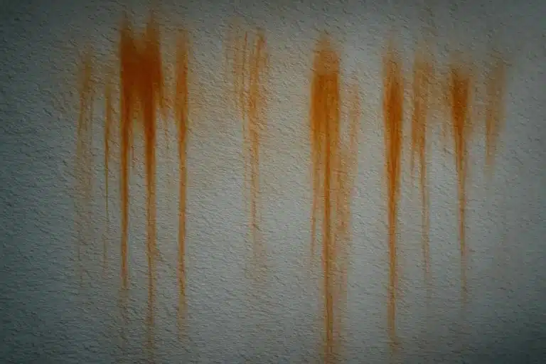 découvrez pourquoi des traînées orange ressemblant à de la rouille apparaissent sur le crépi du mur nord, et comment ce phénomène sert d'alerte importante avant l'hiver.