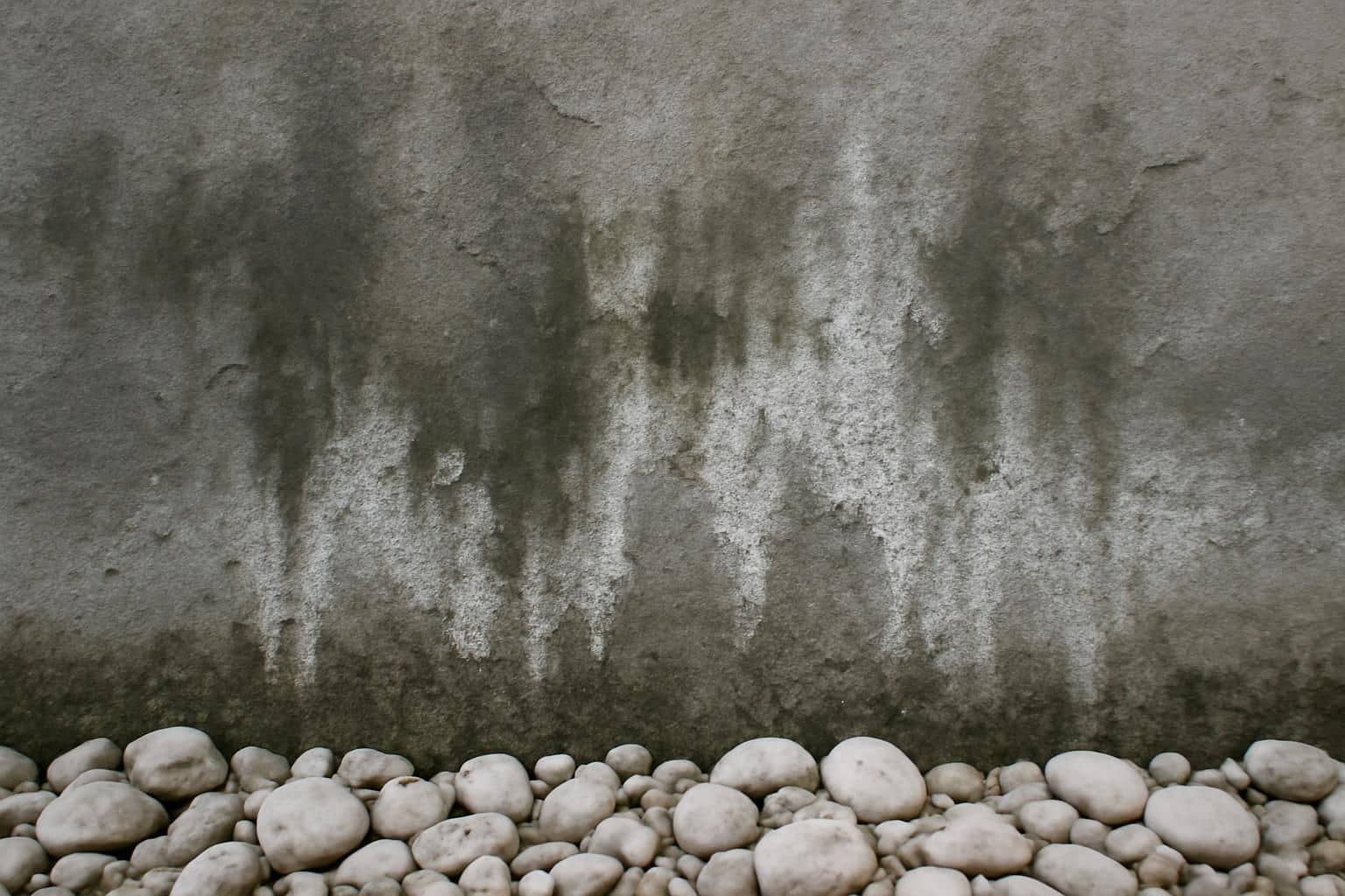 un samedi de juin, il décore sa façade avec des galets clairs pour éviter le désherbage ; à l’automne pluvieux, une surprise inattendue au pied du mur transforme son jardin.